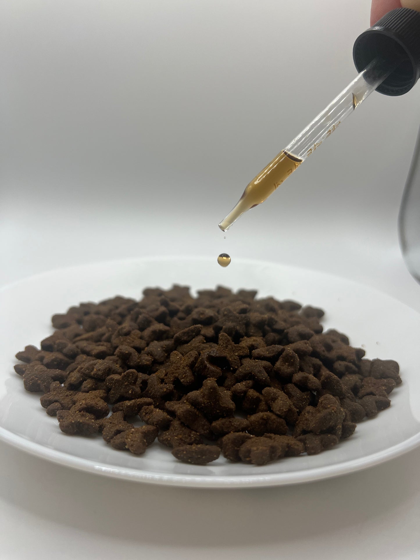 ImmuniCat™ – Défense Naturelle pour Chat
